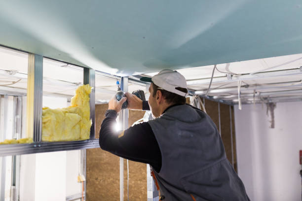 Best Insulation for Commercial Buildings  in Nice, CA