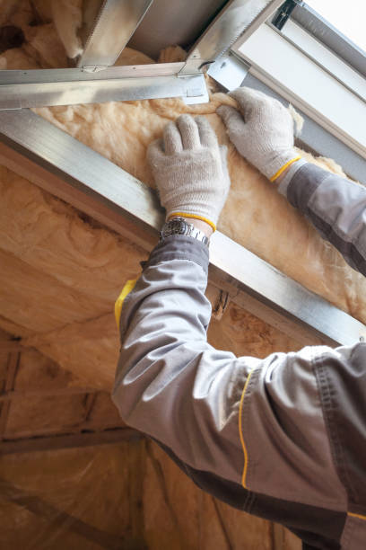 Best Insulation Replacement Services  in Nice, CA