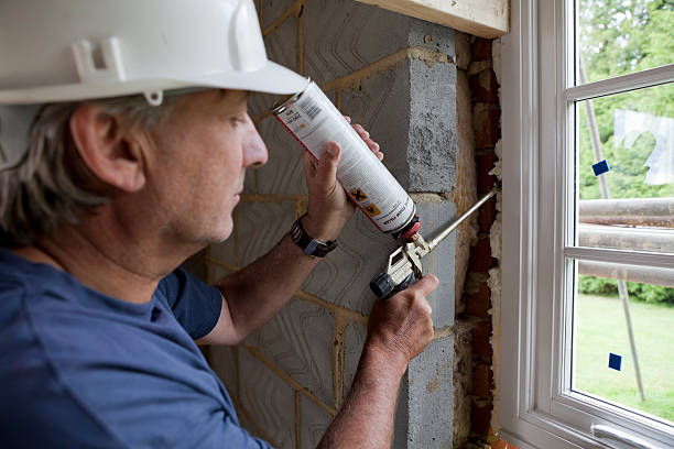 Best Energy-efficient Insulation  in Nice, CA