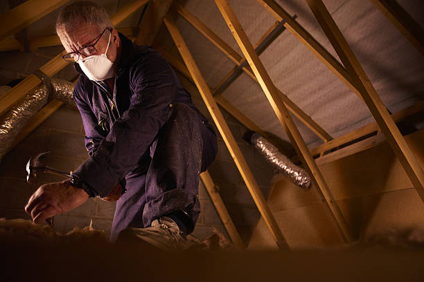 Best Insulation Contractors for Homes  in Nice, CA